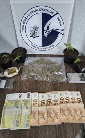 Από την Ομάδα Δίωξης Ναρκωτικών Ημαθία: Συνελήφθη ένα άτομο  για καλλιέργεια, κατοχή  και διακίνηση κάνναβης