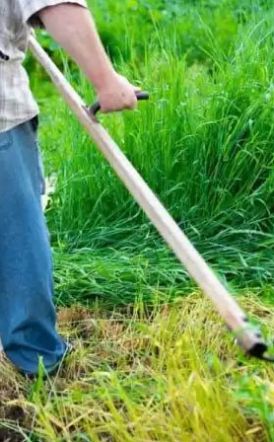 Δήμος Αλεξάνδρειας: Καθαρισμός οικοπεδικών και λοιπών ακάλυπτων χώρων προς αποφυγή εκδήλωσης πυρκαγιών