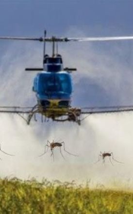 Ξεκινά το πρόγραμμα εναέριων ψεκασμών για την καταπολέμηση των κουνουπιών στους ορυζώνες της Θεσσαλονίκης, της Πιερίας και της Ημαθίας από την Περιφέρεια Κεντρικής Μακεδονίας