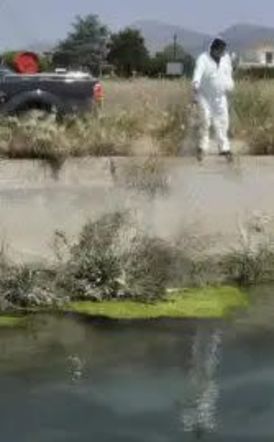 Δήμος Αλεξάνδρειας: Το πρόγραμμα κίνησης συνεργείων του Προγράμματος καταπολέμησης κουνουπιών για την εβδομάδα 11 έως 14 Αυγούστου 2025