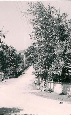 «ΕΝΑ ΤΑΞΙΔΙ ΣΤΗΝ ΠΡΟΓΟΝΙΚΗ ΓΗ ΤΟΥ ΑΤΑΠΑΖΑΡ» Μέρος 5ο