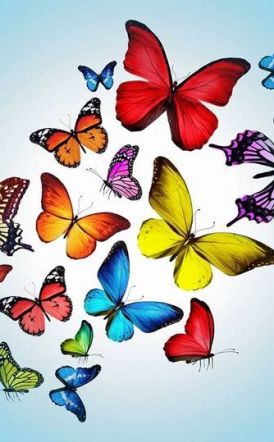 Ανακοίνωση Συμπαράστασης προς το Σωματείο Εργαζομένων ΕΚΑΒ Ημαθίας και τους Διασώστες όλης της χώρας