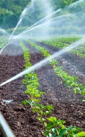 Κατά 40% περιορίζει η ΔΕΗ το νερό άρδευσης στον διψασμένο κάμπο, λόγω μειωμένων αποθεμάτων στους ταμιευτήρες του Αλιάκμονα