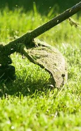 Τι αλλάζει στους καθαρισμούς των οικοπέδων με το νομοσχέδιο «Ενεργή Μάχη» -Ο καθαρισμός και η δήλωσή τους παρατείνεται έως τις 15 Ιουνίου