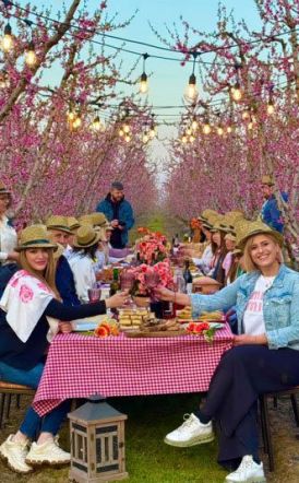 Ευχαριστήριο της ΠΕ Ημαθίας προς όλους όσοι συμμετείχαν  στην υλοποίηση της δράσης δημιουργίας προωθητικού οπτικοακουστικού υλικού για την τουριστική προβολή της περιοχής μας