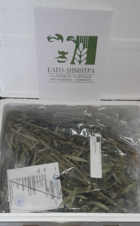 Nέο κεφάλαιο στην παραγωγή πολλαπλασιαστικού υλικού οπωροφόρων δένδρων στην Ελλάδα από τον ΕΛΓΟ-ΔΗΜΗΤΡΑ