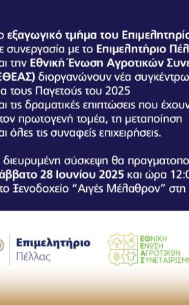 Νέα διευρυμένη σύσκεψη για τους Παγετούς του 2025 και τις επιπτώσεις στην οικονομία των Νομών Ημαθίας και Πέλλας 