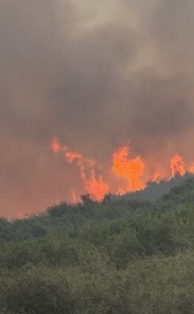 Πάνω από 454.000 στρέμματα κάηκαν στην χώρα μας, από την αρχή της χρονιάς