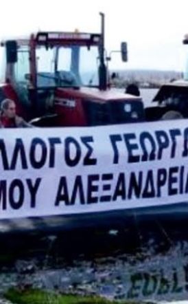 ΑΓΡΟΤΙΚΟΣ ΣΥΛΛΟΓΟΣ ΓΕΩΡΓΩΝ  ΔΗΜΟΥ ΑΛΕΞΑΝΔΡΕΙΑΣ Νέο Διοικητικό Συμβούλιο