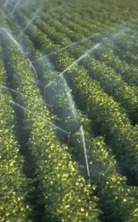 Δήμος Αλεξάνδρειας: Ξεκίνησαν οι αιτήσεις  για πρόσληψη υδρονομέων για την αρδευτική περίοδο του 2026