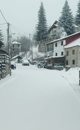 Αναστολή λειτουργίας όλων των σχολικών μονάδων στα Ριζώματα