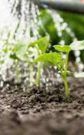 Ενημερωτική συνάντηση για τη λειτουργία και τη διαχείριση του αρδευτικού συστήματος για το έτος 2026 διοργανώνεται την Δευτέρα 30 Μαρτίου στο Δημαρχείο Μελίκης