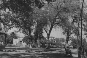 ΜεΜιαΜατια Βέροια, 1950