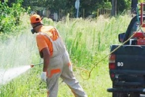 Έναρξη επεμβάσεων για καταπολέμηση κουνουπιών στο Δήμο Βέροιας