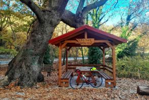 Σάββατο 8 Νοεμβρίου:  Στη Βέροια το 2ο brevet  της χρονιάς, 200 χλμ,  με εκκίνηση και τερματισμό  στην πλατεία Ωρολογίου