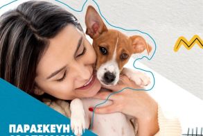 Δράση ευαισθητοποίησης για τα αδέσποτα ζώα στον Δήμο Ηρωικής Πόλεως Νάουσας     «Δώσε μια Ευκαιρία – Υιοθέτησε έναν Φίλο» την Παρασκευή 3 Απριλίου στο Πάρκο Κυκλοφοριακής Αγωγής