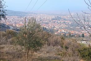 ΠΩΛΕΙΤΑΙ στα Καβάκια, στο δρόμο προς Ραχιά, αγροτεμάχιο 2,5 στρέμματα