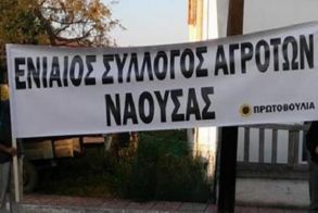 ΑΓΡΟΤΙΚΟΣ ΣΥΛΛΟΓΟΣ ΝΑΟΥΣΑΣ : Μείναμε  με τη χαρά για την  χαλαζική προστασία