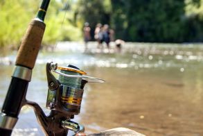 ΣΥΛΛΟΓΟΣ ΕΡΑΣΙΤΕΧΝΩΝ ΨΑΡΑΔΩΝ Ν. ΗΜΑΘΙΑΣ  Ενημέρωση μελών  για απαγόρευση αλιείας στους  ποταμούς της Κεντρικής Μακεδονίας