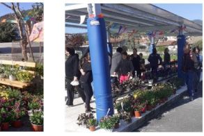 Δεύτερη ανθοέκθεση στο Δημοτικό Σχολείο Αγίας Βαρβάρας