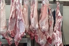 Πιο ακριβό και με περιορισμένες ποσότητες φέτος, το Πασχαλινό τραπέζι -Κατά ένα ευρώ το κιλό αυξήθηκαν τα αμνοερίφια -Υποτονική μέχρι χθες η κίνηση  στην Αγορά- Στα ίδια περίπου το τσουρέκι –Ακριβότερα τα είδη σοκολάτας