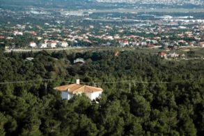 Νέα παράταση για εξαγορά καταπατημένων εκτάσεων του Δημοσίου