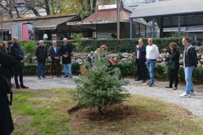 Συμβολική δενδροφύτευση στο Δημοτικό Πάρκο Νάουσας με αφορμή την Παγκόσμια Ημέρα Δωρεάς Οργάνων