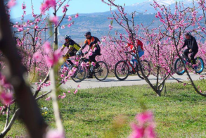 Φινάλε την Κυριακή, για το Φεστιβάλ του ΤΟΒ «Ανθισμένες Ροδακινιές»