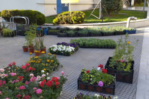 Ανθοκομική έκθεση την Τρίτη από τα παιδιά του Ε.Ε.Ε.Ε.Κ. Βέροιας