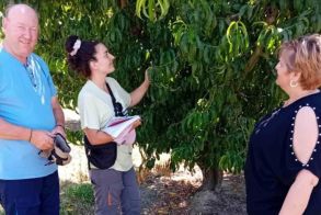 Επίσκεψη της Αντιδημάρχου Αγροτικής Ανάπτυξης Άννας Βασιλειάδου στην Ειρηνούπολη     Εκτιμήσεις ζημιών από παγετό σε συνεργασία με γεωπόνους του ΕΛΓΑ