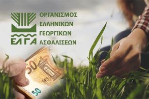 ΕΛΓΑ: Δεν απαιτείται η καταβολή των τελών εκτίμησης από τους πληγέντες παραγωγούς