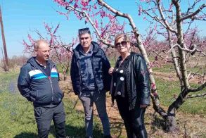 Επισκέψεις στoν ΕΛΓΑ και σε αγροκτήματα που υπέστησαν ζημιές