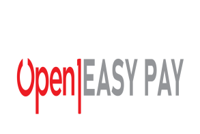 Νάουσα: Εκσυγχρονίζεται το τοπίο των συναλλαγών μεταξύ Δήμου και δημοτών 