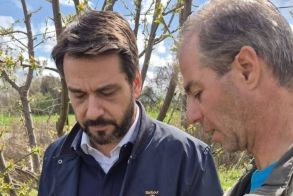 Τάσος Μπαρτζώκας: Ανοίγουν οι αναγγελίες για ΟΛΕΣ  τις ποικιλίες των Κερασιών!