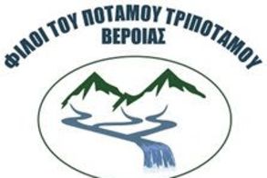 «ΦΙΛΟΙ ΤΟΥ ΠΟΤΑΜΟΥ ΤΡΙΠΟΤΑΜΟΥ ΒΕΡΟΙΑΣ»   ΠΡΟΣΚΛΗΣΗ ΜΕΛΩΝ ΣΕ ΓΕΝΙΚΗ ΣΥΝΕΛΕΥΣΗ ΚΑΙ ΚΟΠΗ ΠΙΤΑΣ
