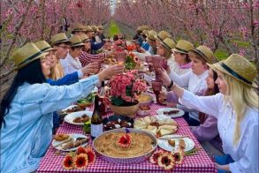 Στη γαστρονομική δράση της Π.Ε. Ημαθίας, στις  ανθισμένες ροδακινιές, συμμετείχε ο Δήμος Νάουσας