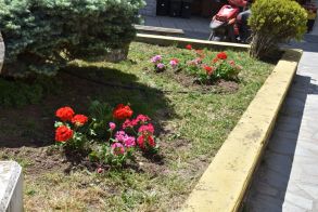 Φυτεύσεις λουλουδιών και καλλωπισμός από τον Δήμο Νάουσας και την Αντιδημαρχία Περιβάλλοντος και Πρασίνου