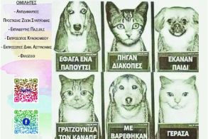 Σάββατο 10 Μαΐου στο Δημαρχείο: Ημερίδα για την  Προστασία των Ζώων Συντροφιάς, από την  Δημοτική Κοινότητα Βέροιας