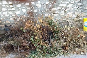 Επιστολή στο ΛΑΟ  Εν μέσω καύσωνα μετέφεραν ξερά κλαδιά στον κάδο του  Αγ.  Νικολάου  Κουμαριάς