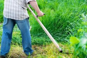 Δήμος Αλεξάνδρειας: Καθαρισμός οικοπεδικών και λοιπών ακάλυπτων χώρων προς αποφυγή εκδήλωσης πυρκαγιών