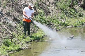Επεμβάσεις για καταπολέμηση κουνουπιών στο Δήμο Βεροίας (20-24/5/2024)
