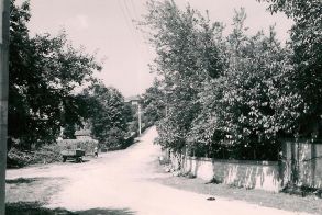 «ΕΝΑ ΤΑΞΙΔΙ ΣΤΗΝ ΠΡΟΓΟΝΙΚΗ ΓΗ ΤΟΥ ΑΤΑΠΑΖΑΡ» Μέρος 5ο