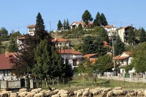 ΑΝΑΣΤΑΣΗ ΣΤΟ ΞΕΡΟΛΙΒΑΔΟ