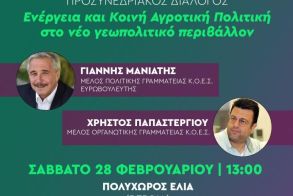 Στις 1.00 μ.μ. ο Προσυνεδριακός διάλογος της ΝΟΕΣ ΠΑΣΟΚ Ημαθίας στη Βέροια το Σάββατο 28/2 -Ομιλητές: Γιάννης Μανιάτης και Χρήστος Παπαστεργίου