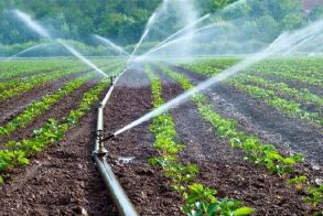 Κατά 40% περιορίζει η ΔΕΗ το νερό άρδευσης στον διψασμένο κάμπο, λόγω μειωμένων αποθεμάτων στους ταμιευτήρες του Αλιάκμονα
