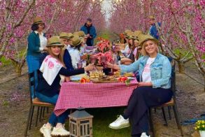 Ευχαριστήριο της ΠΕ Ημαθίας προς όλους όσοι συμμετείχαν  στην υλοποίηση της δράσης δημιουργίας προωθητικού οπτικοακουστικού υλικού για την τουριστική προβολή της περιοχής μας