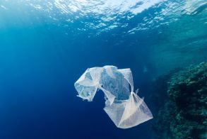 Φόρος ανακύκλωσης: Πόσο θα κοστίζουν οι πλαστικές συσκευασίες από 1η Ιουνίου  - Τι πρέπει να κάνουν οι επιχειρήσεις