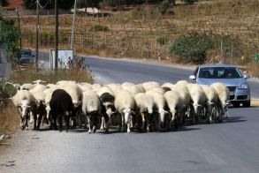 Tι είχαν τα έρμα…