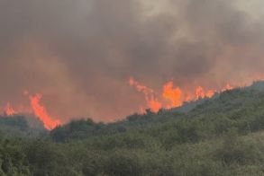 Πάνω από 454.000 στρέμματα κάηκαν στην χώρα μας, από την αρχή της χρονιάς