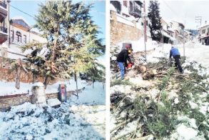 Το δέντρο της πλατείας του Σελίου «έπεσε» λόγω του χιονιά!
